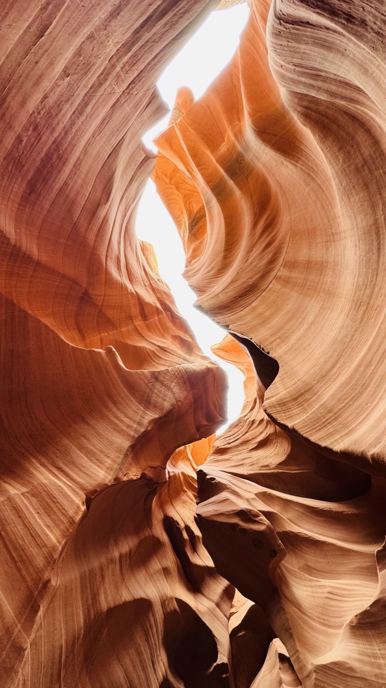 Shivani's travel photo from Arizona